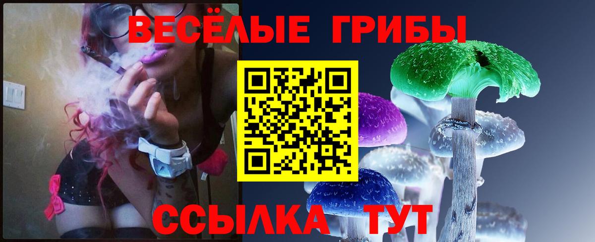 Галлюциногенные грибы GOLDEN TEACHER Ликино-Дулёво